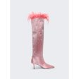 Alexander Wang | Women | Viola 65 Feather Slouch Boot | Prism Pink Cheap