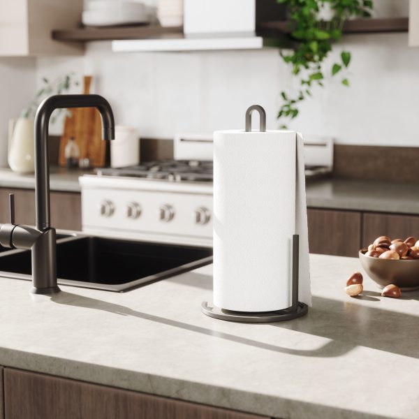 Squire Paper Towel Holder Online