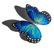 XL Pointed Half Blue Morpho Butterfy Earrings on Sale