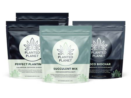 The Dream Team - 2 Perfect Planting Mixes, 1 Succulent Mix, & 1 Coco Biochar Supply