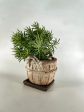 710R32 - Rustic Yellow Ceramic Basket Planter with Handles Online Sale