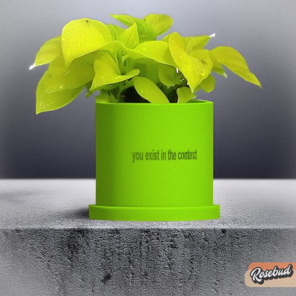 You Exist in the Context Plant Pot Online Hot Sale