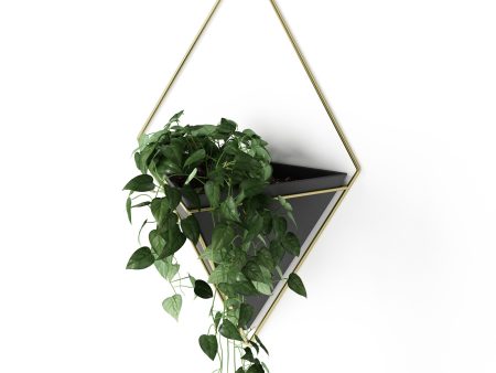 Trigg Wall Planter & Storage, Large Online Sale