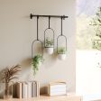 Triflora Hanging Planters, Set of 3 Supply