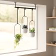 Triflora Hanging Planters, Set of 3 Supply