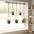 Triflora Hanging Planters, Set of 5 on Sale