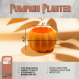 Pumpkin Plant Pot with Drainage and Drip Tray For Sale