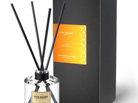 SCENTED REED DIFFUSER ORANGE BLOSSOM Supply