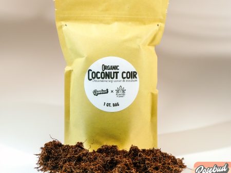 Organic Coconut Coir - Decorative Plant Topper - Growing Medium - Plant Based Online Hot Sale