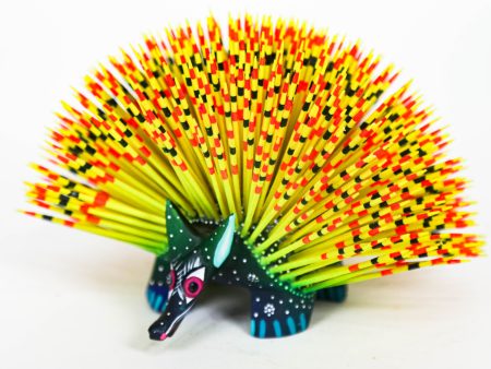 Multicolor Hedgehod Online Sale