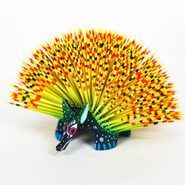 Multicolor Hedgehod Online Sale