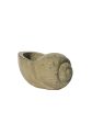 5229N7 - Small Seashell Ceramic Planter Online