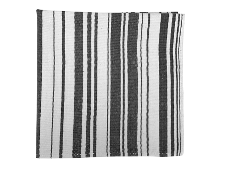 Ancestros Striped Napkin Online now