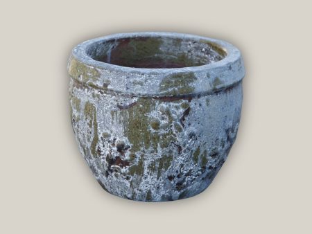 8151N21 - Atlantic Gecko Planter For Cheap