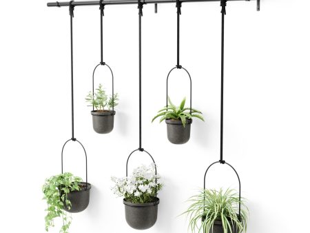 Triflora Hanging Planters, Set of 5 on Sale