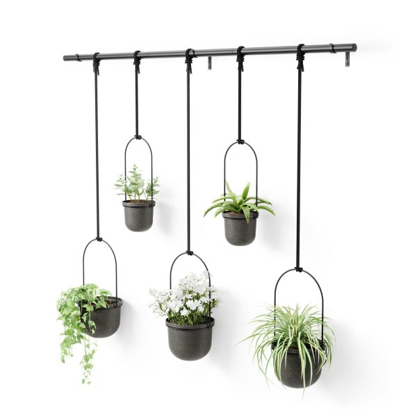 Triflora Hanging Planters, Set of 5 on Sale