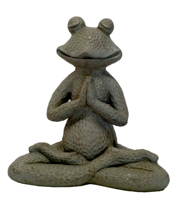 Yoga Frog PNT Discount