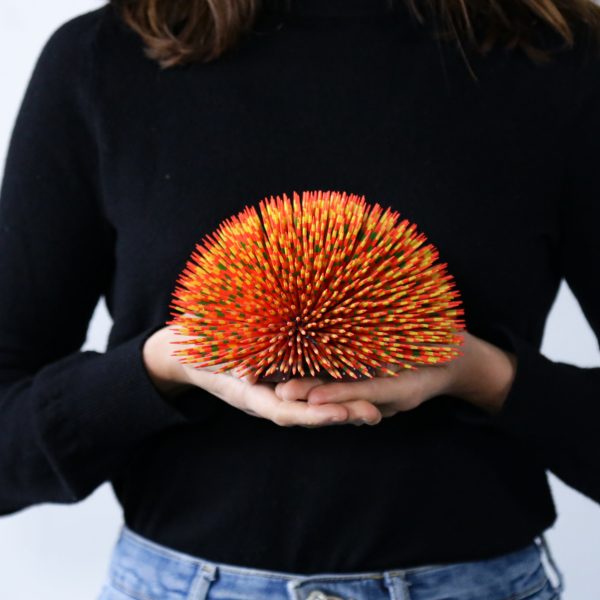 Multicolor Hedgehod Online Sale