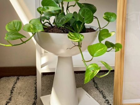 VASA PLANTER Online Sale