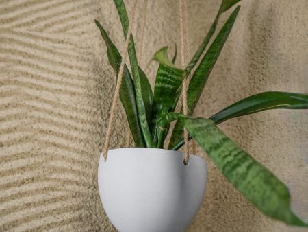 Minimalist Hanging Plant Pot with Drainage Supply