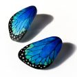 Large Morpho Wing Earrings Online Sale