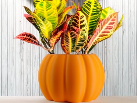 Pumpkin Plant Pot with Drainage and Drip Tray For Sale