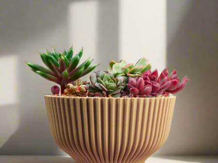 Bonsai Pot with Drainage & Tray Sale