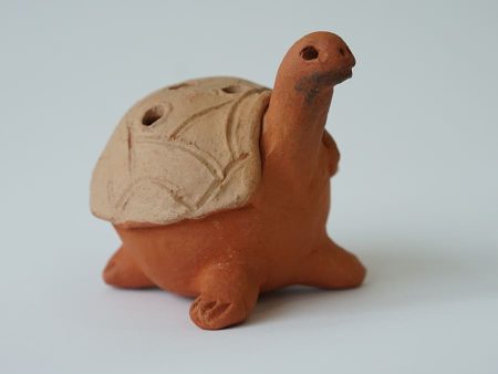 Small Turtle For Discount