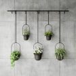 Triflora Hanging Planters, Set of 5 on Sale