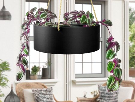 Hanging Chandelier Planter with Drainage Online Hot Sale