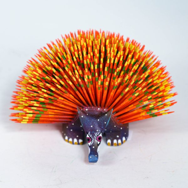 Multicolor Hedgehod Online Sale