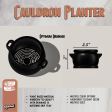 Cauldron Plant Pot with Drainage and Drip Tray For Cheap