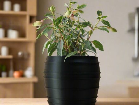 The Vintage Siena Planter Cheap