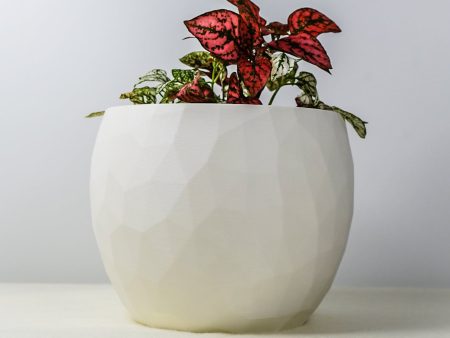 The Voronoi Planter Fashion