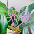 Love Hoop Plant Trellis Online Hot Sale