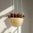 Hanging Joshua Tree Planter Sale