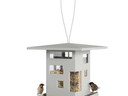 Bird Cafe Online now