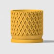 Waffle Cone Planter Online